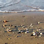 Apartman With Pool In 54751