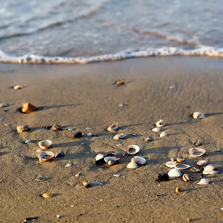 Apartment With Pool In 54751