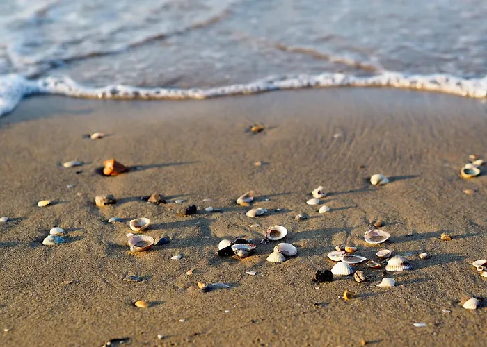 Appartamento With Pool In 54751